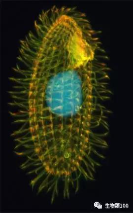 学科教学生物真题,生物教学中各种模型