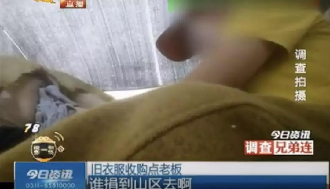 交易猫被央视曝光,收养流浪狗的真实记录