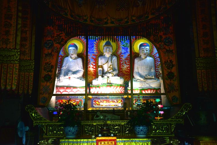 涔愯嚦鑽疯姳鎽勫奖浣滃搧娆ｈ祻,涔愯嚦鍗拌薄鎽勫奖