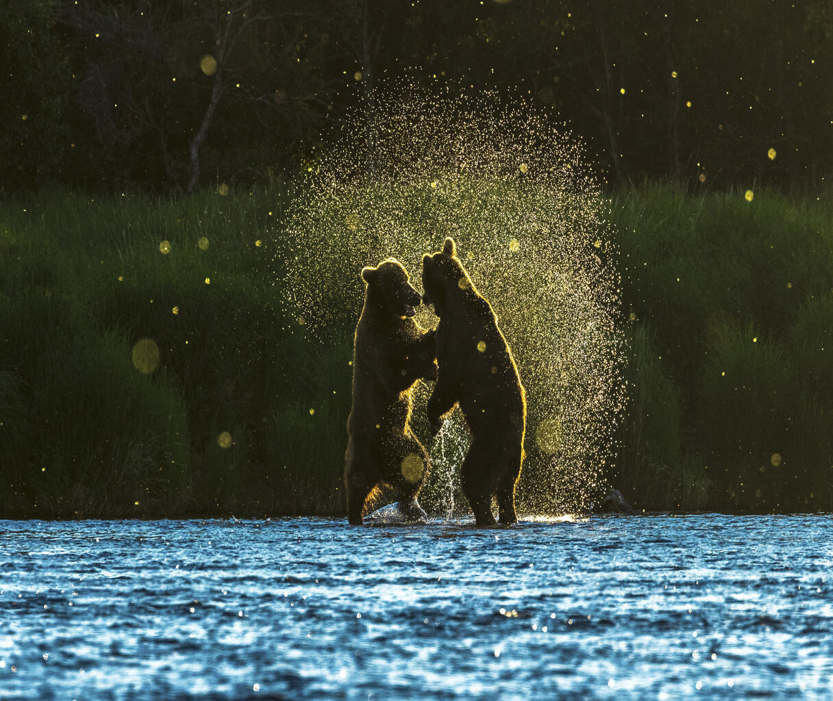 缇庡浘娆ｈ祻鍚儏鑴夎剦,缇庡浘ai娣峰壀