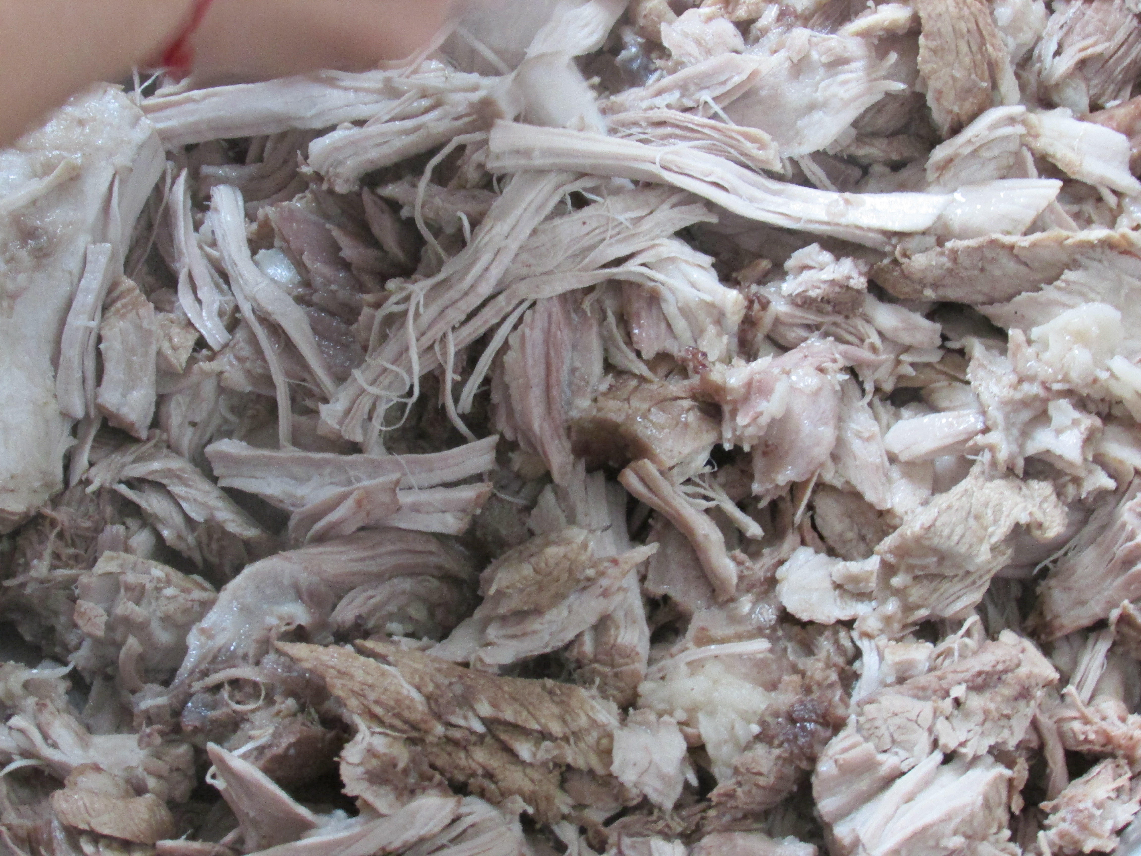 东北杀年猪来吃猪肉,老东北杀年猪