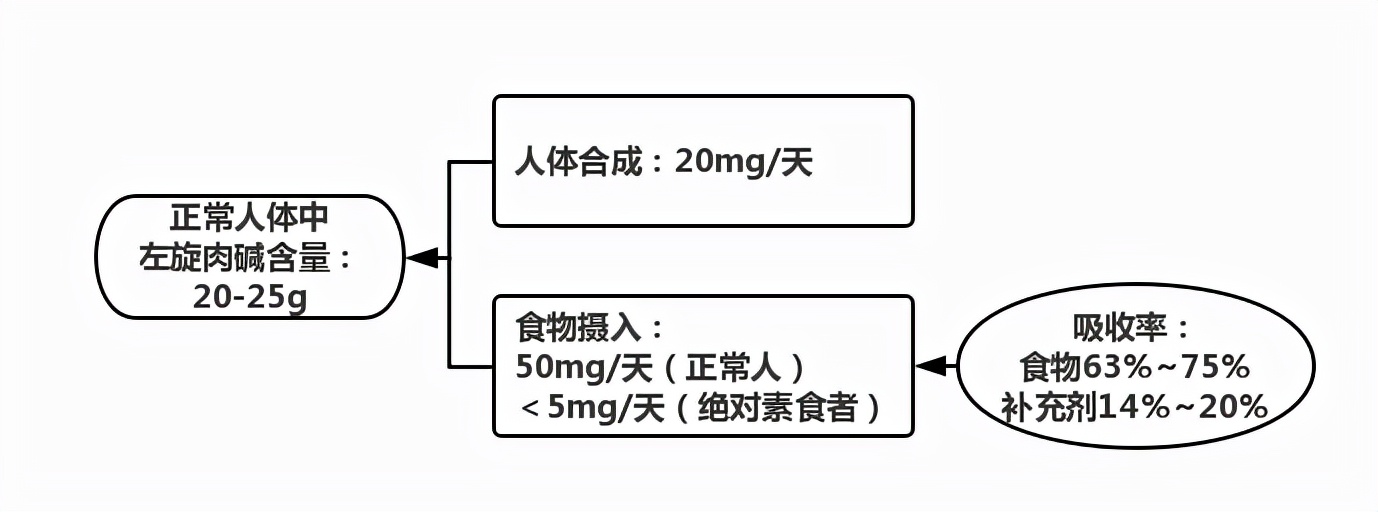宸︽棆鑲夌⒈鑽峰彾鑼嫇鑳跺泭鑳藉噺鑲ュ悧,宸︽棆鑲夌⒈姘旀场姘寸湡鐨勫彲浠ュ噺鑲ュ悧