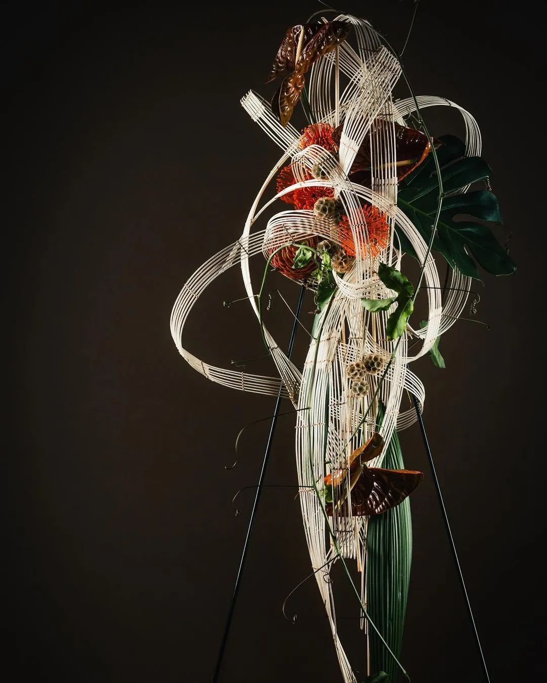 带你了解世界每一个角落,八大花艺流派