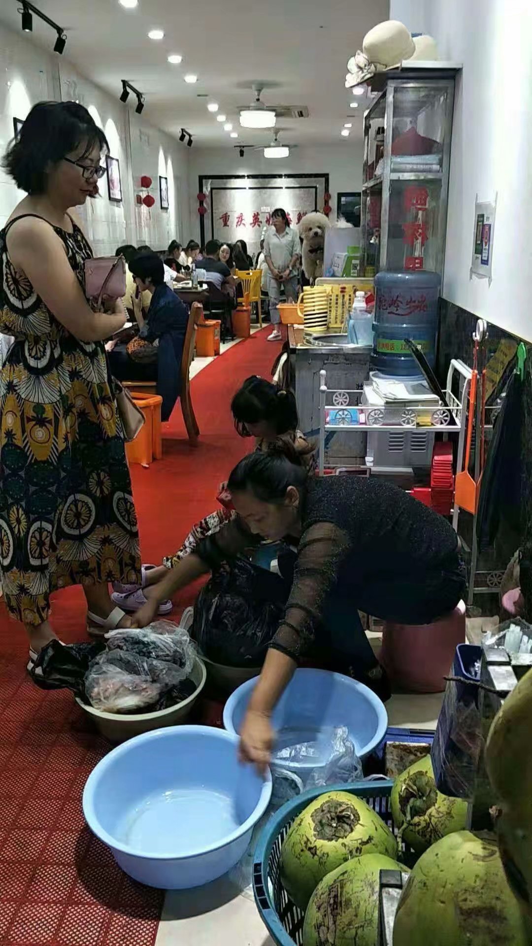 三亚新年自由行,一个人的旅行三亚之旅