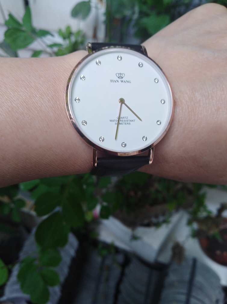 天王手表男士机械表什么样,天王手表咋样