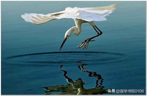 中华经典大智慧,读懂这十句古语