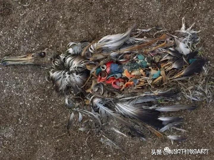 给明星做造型的“垃圾”行为艺术家?雷人背后的那一份深刻……