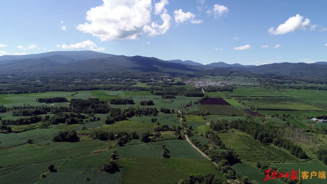 萧红的呼兰河是什么地方,萧红写的呼兰河在哪里