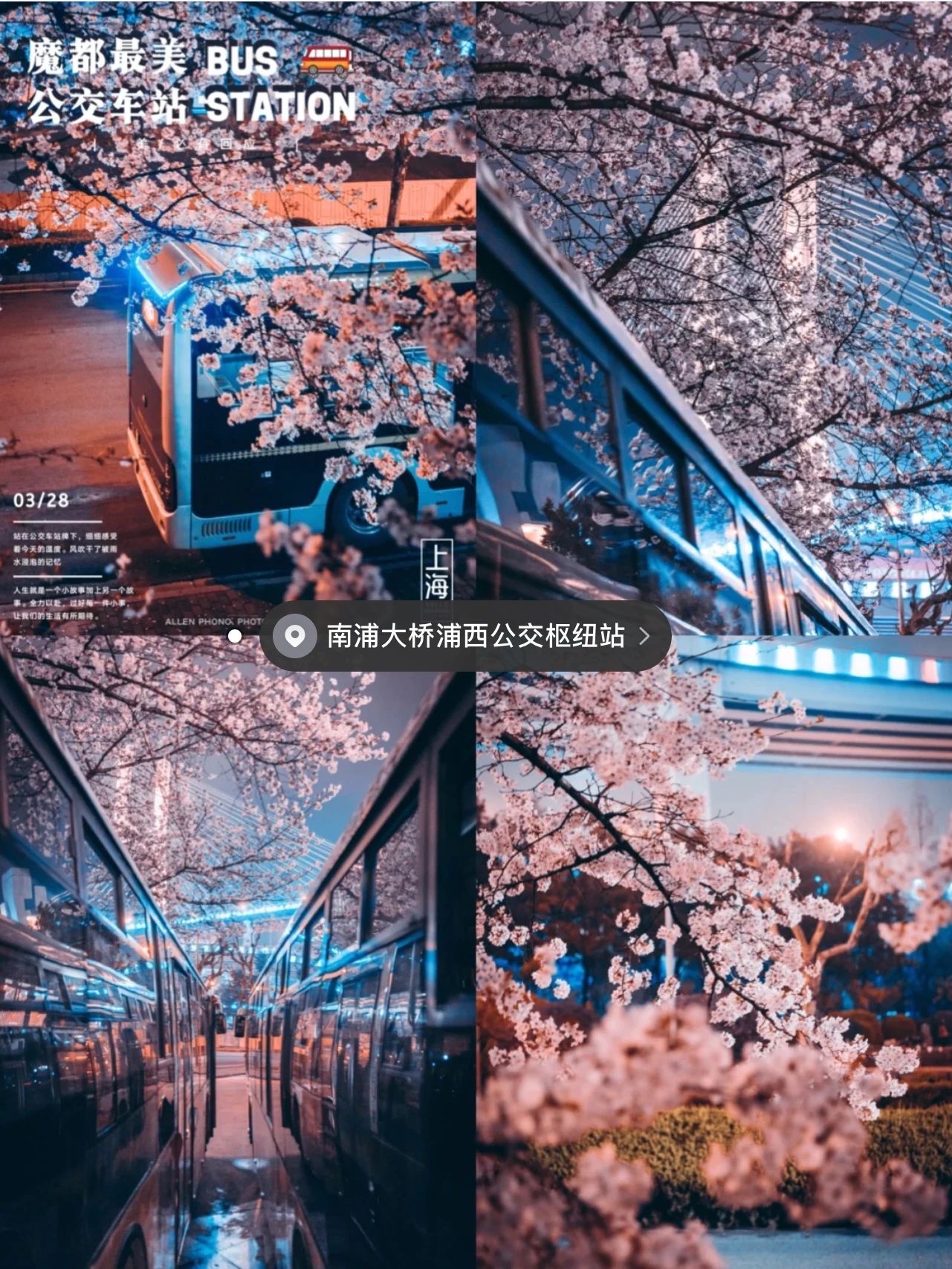 上海的热搜,最近热搜的上海