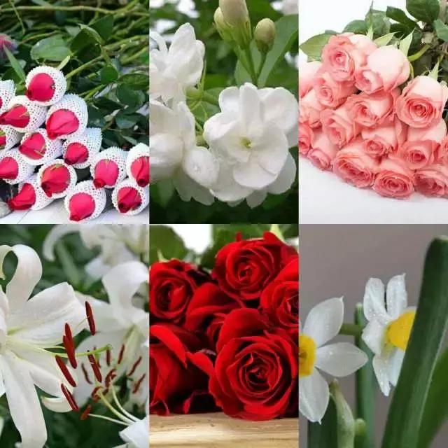 当了花艺师之后，过得都是什么生活？