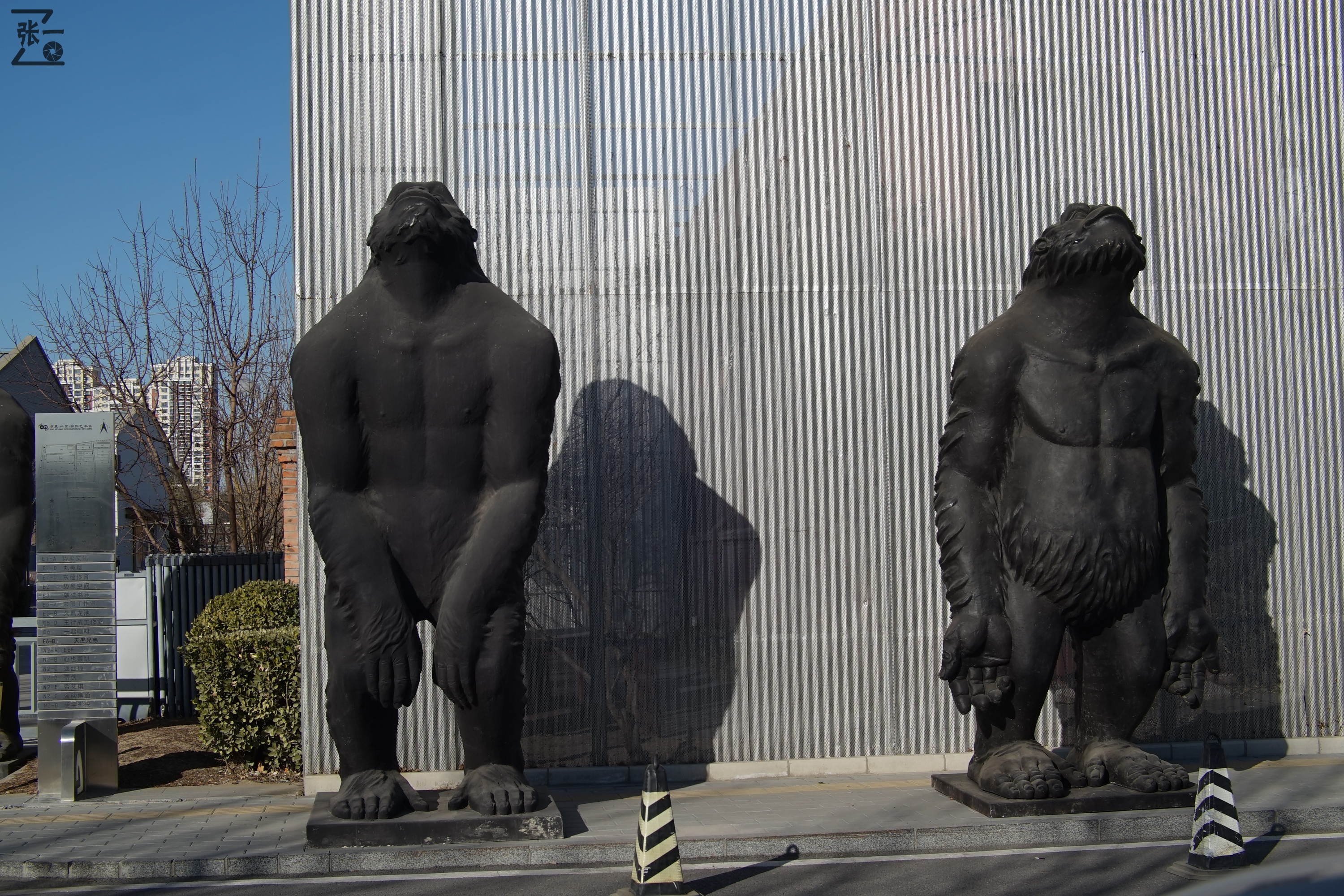 中国产微单,24-135镜头索尼