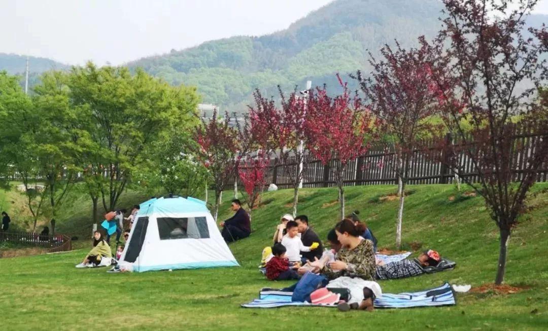 槽糕，是心动的感觉！这个神秘花谷正在悄然绽放！走，去拍照～