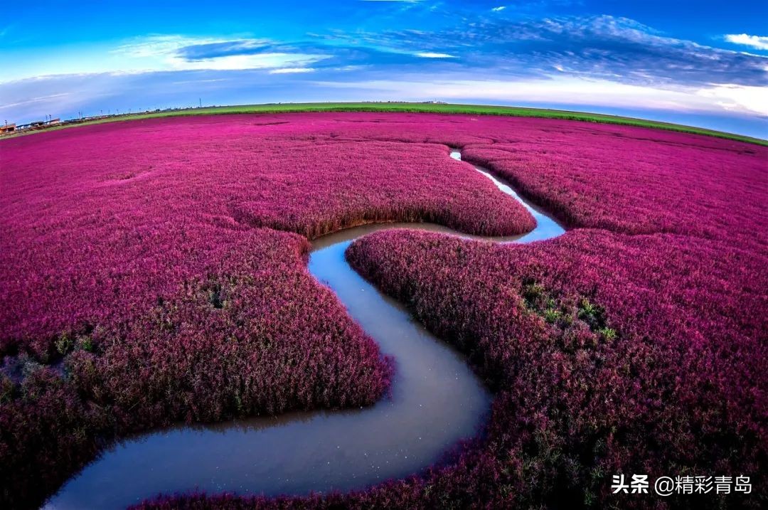 谁说东北城市只有烧烤？它不服！