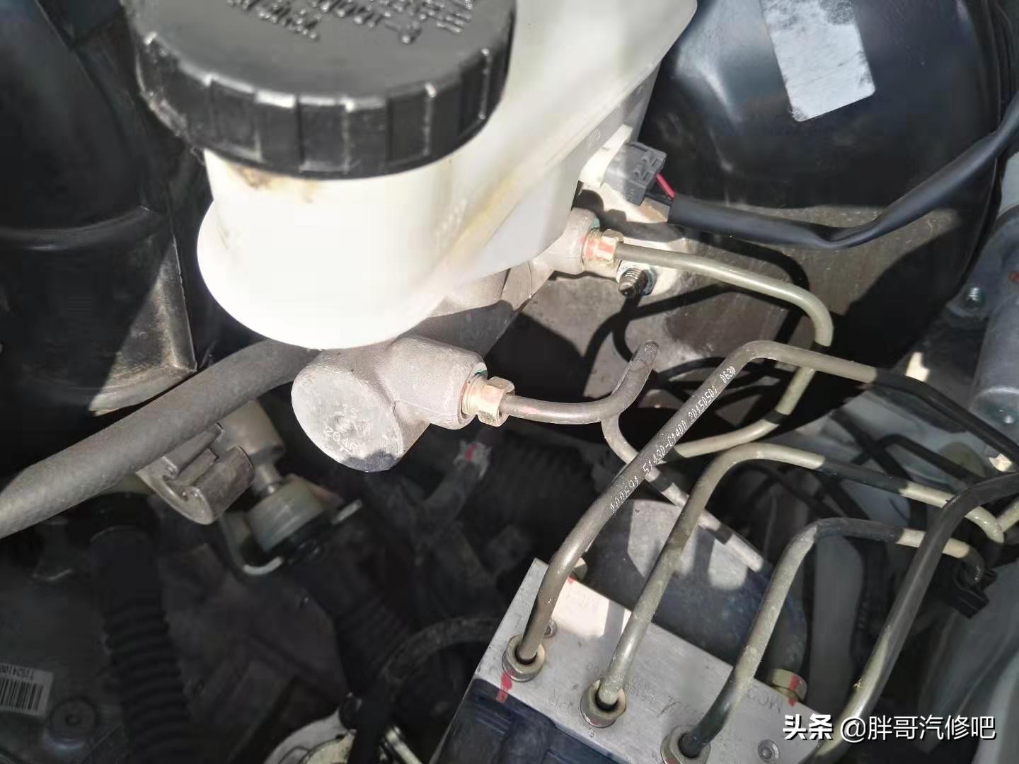 胖哥二手车最新视频,胖哥买二手车