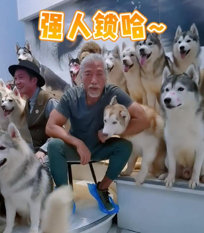 张耀扬乌鸦杀死小结巴,乌鸦张耀扬被打最惨的一次