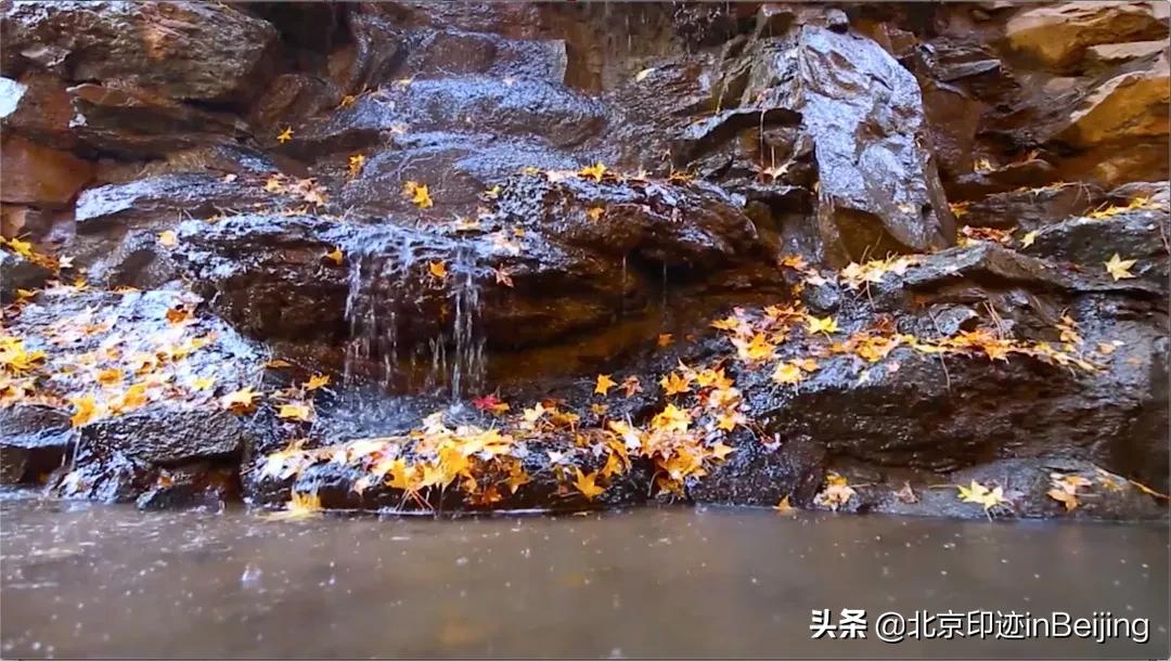 香山静宜园图片大全,香山静宜园二十八景