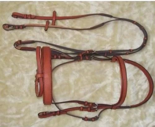 马匹用具介绍,马匹种类介绍