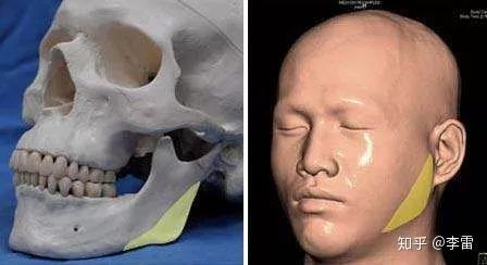 劳荣枝相貌变化这么大,劳荣枝逃亡20年是谁认出了她