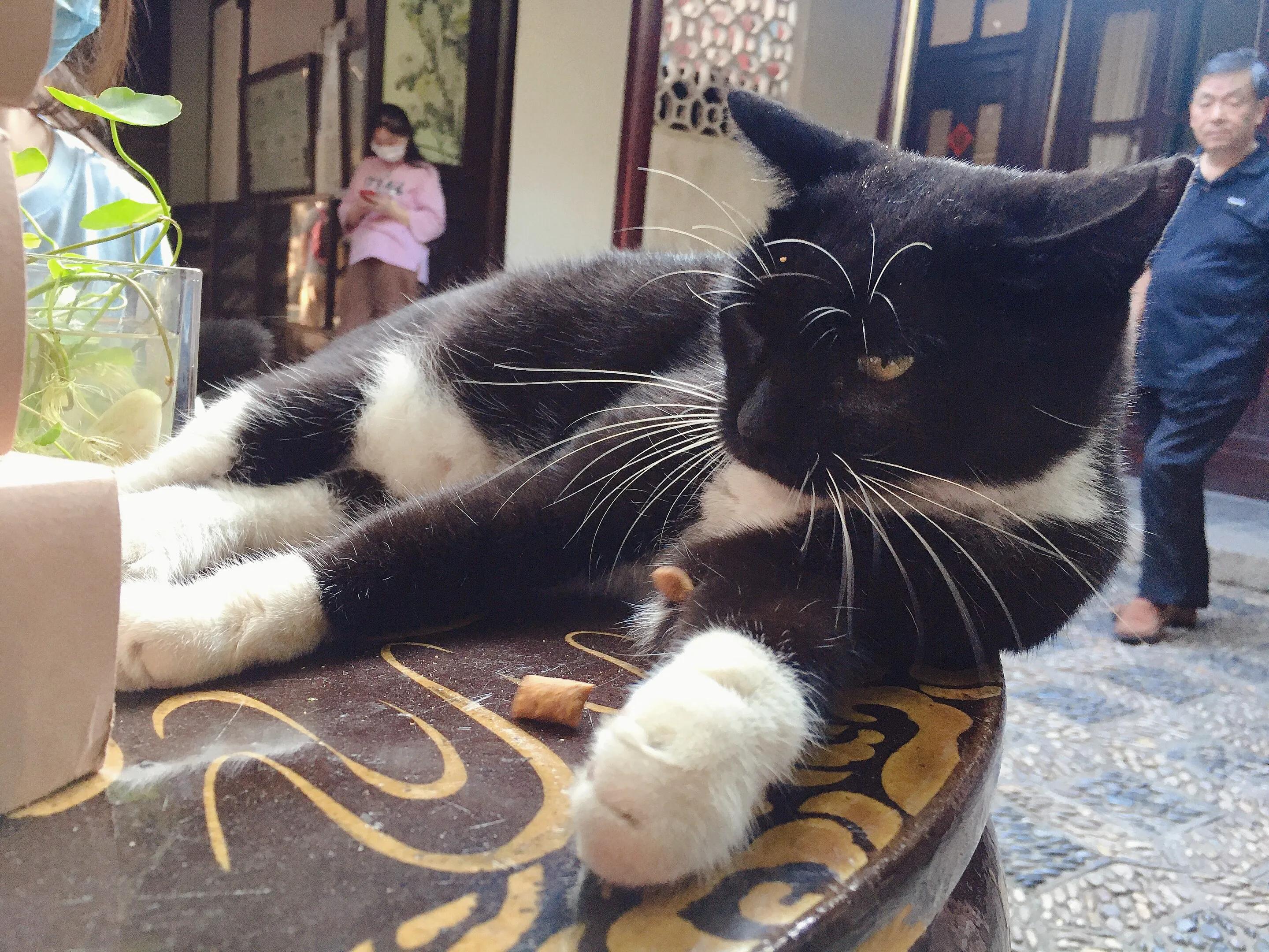 苏州的西园寺好还是虎丘塔好,苏州西园寺距离哪个景点近