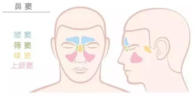 南阳医专一附院耳鼻喉科主任,南阳医院治鼻窦炎是什么手术