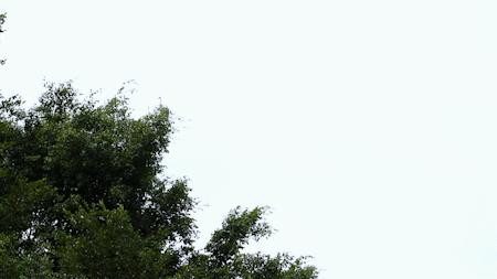 深圳好玩景点地铁路线,深圳好玩免费景点地铁直达的