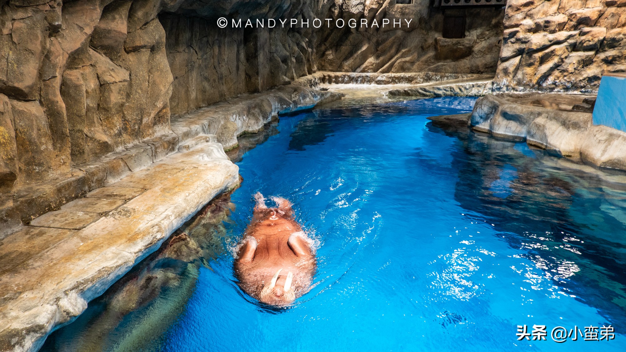 香港巡礼|是谁！敢拿水枪给20岁的海贼王庆生？