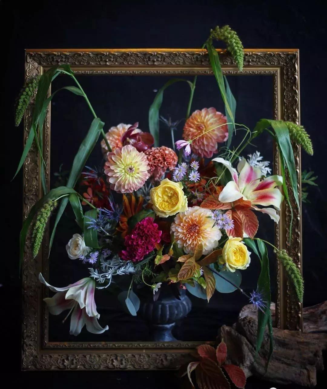 花材不剪枝如何养护,花材不用换水养护方法大全