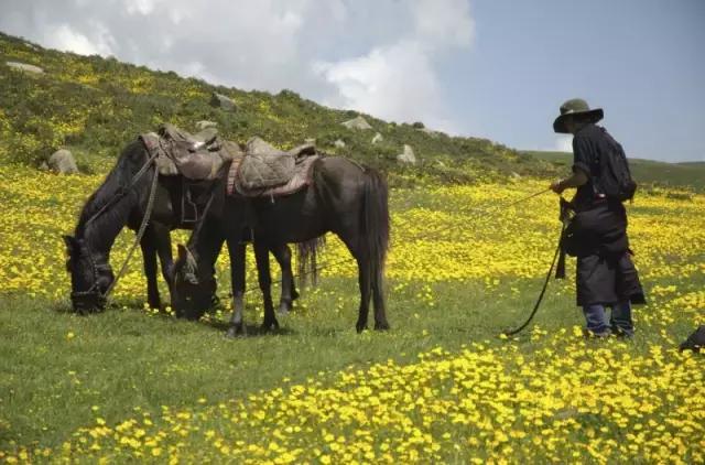 国内野奢酒店民宿排名榜,国内30家顶级野奢酒店