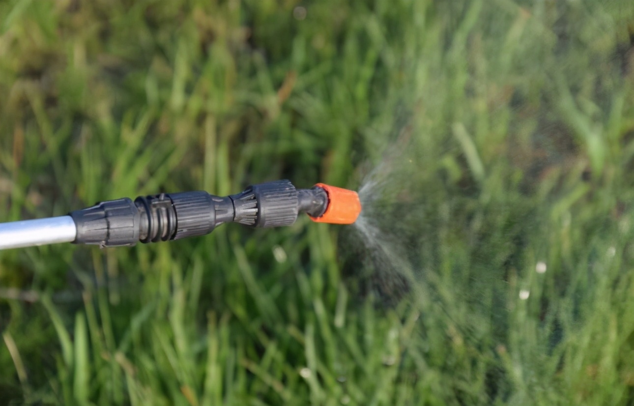 草甘膦还不会用?打后几天可以播种农药?这里一起告诉你