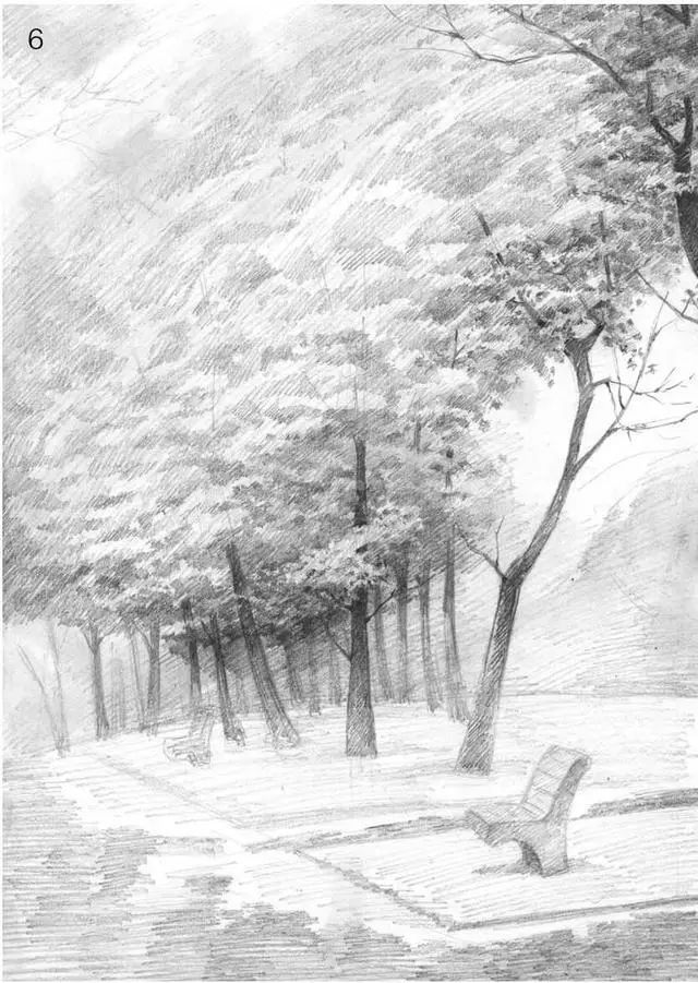 树林素描简单画法,树林中的光影画简单素描