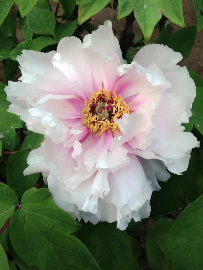 积极上进正能量简短格言短句,积极上进的正能量短句