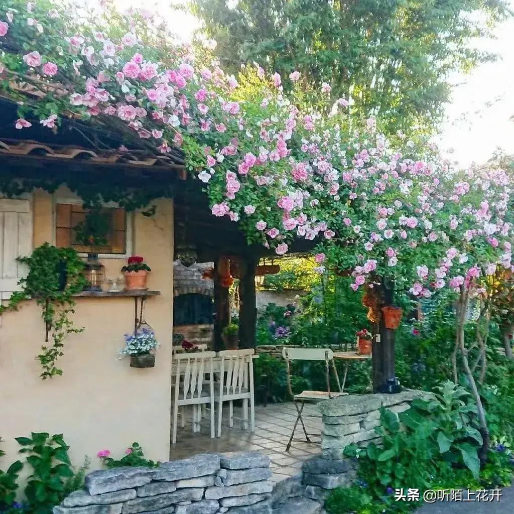 这些数字都表示什么,简单数字解释