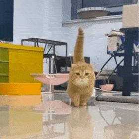 国考海关职位好吗,国考海关和税务哪个好