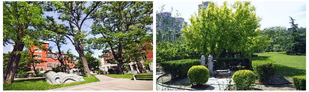 二十四中高考视频,全景看二十四高中