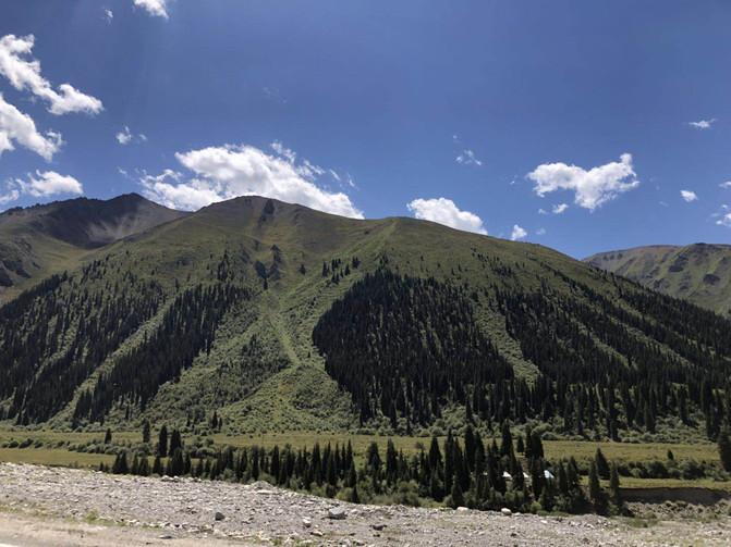 一家四口暑假日常之去游乐场,四川亲子游5日游8月游记