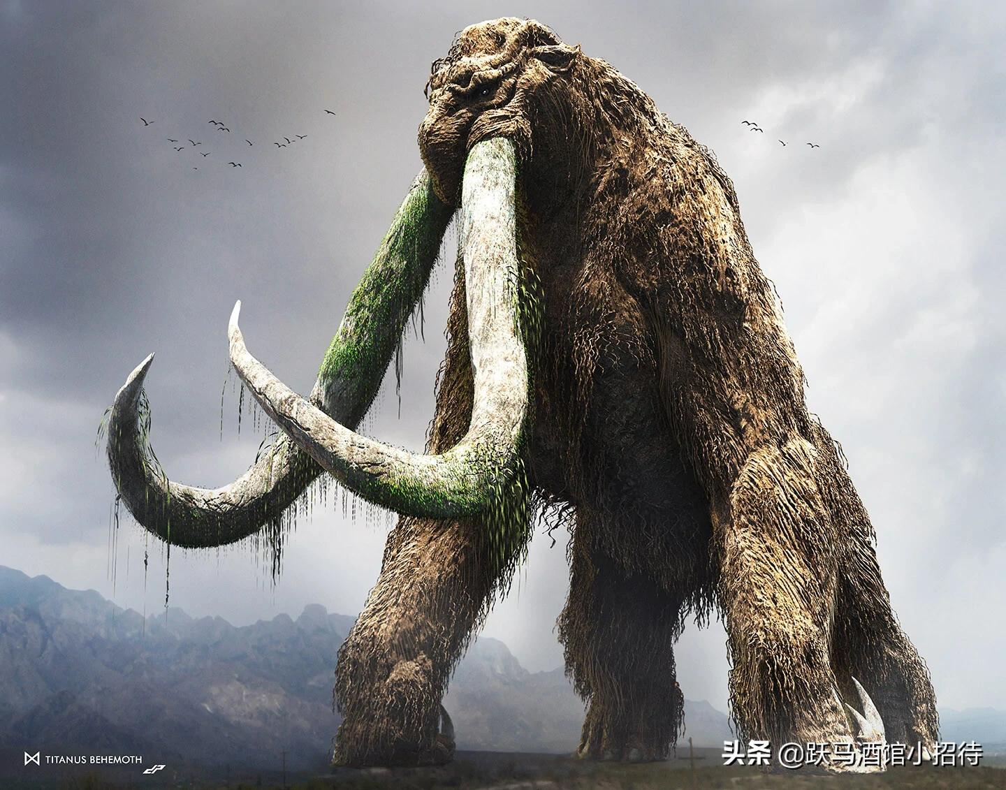 金刚大战哥斯拉怪兽电影解析,金刚哥斯拉大战怪兽