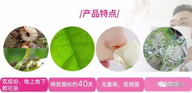 预防植物病虫害用什么药,植物病虫害防治的基本方法