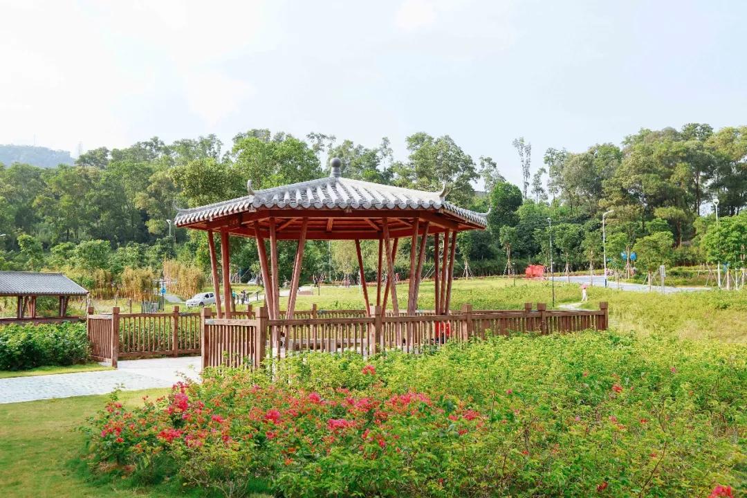 簕竹杜鹃谷公园,好看的杜鹃谷公园