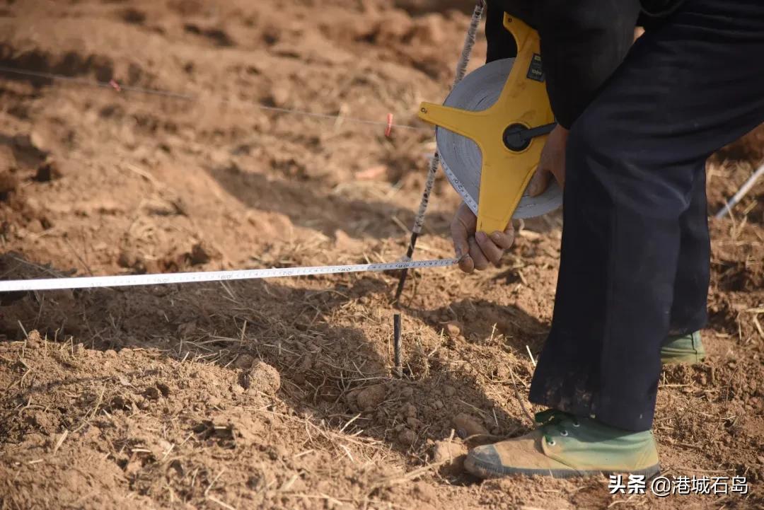 石岛即将开发的项目,石岛的项目