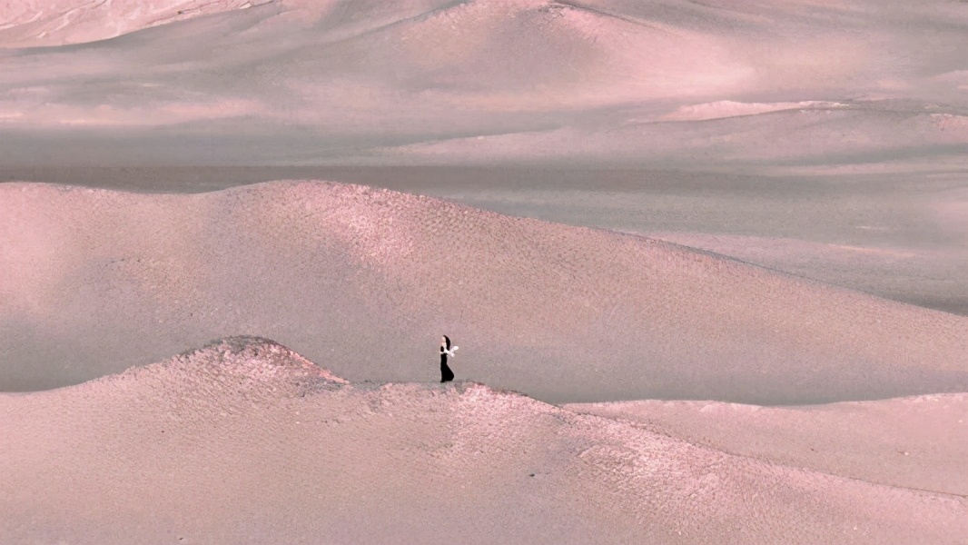 “割礼”惨无人寰的陋习,*害迫**着女性身体,震撼人心《沙漠之花》