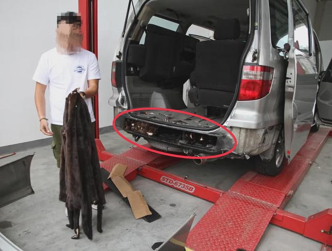 中国皮草行业现状,皮草跌落神坛