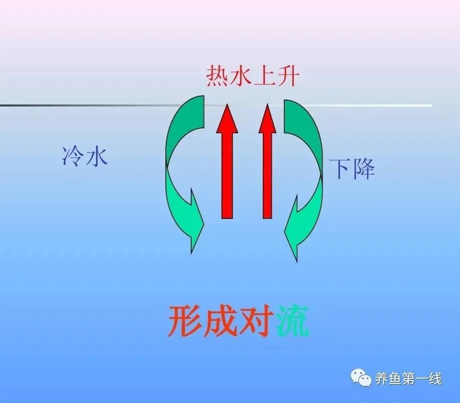 鱼儿什么时候容易缺氧窒息而翻塘,鱼类缺氧的表现