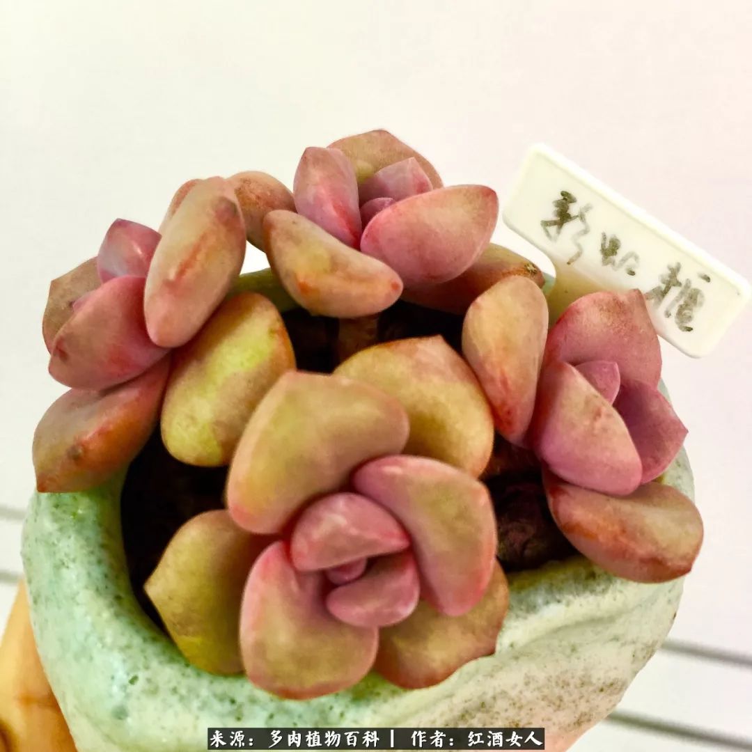 记录走过的美景留下美好的回忆,记录走过的每一段美好时光