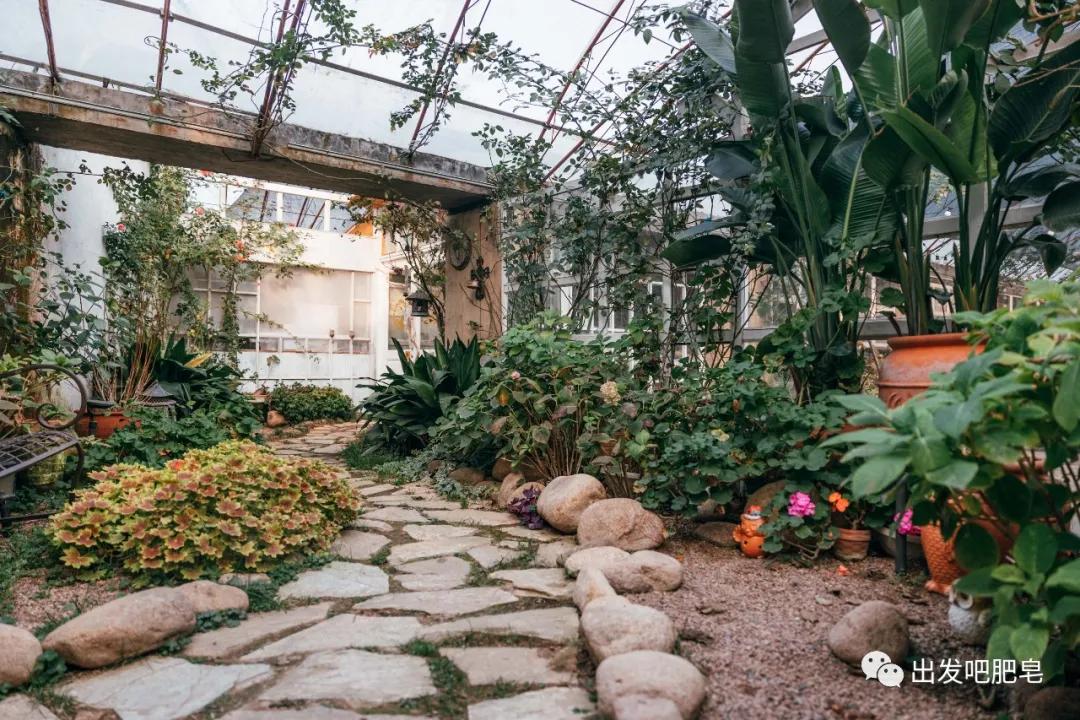 青岛亲子餐厅大盘点2.0，带娃全部吃过才有这份实力榜单