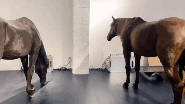 别争了,这条马路才是魔都内卷之王