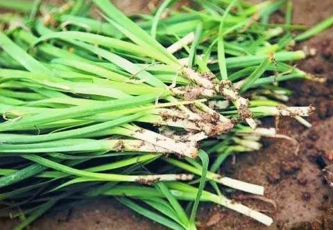 娃哈哈AD钙重现。情怀还是“韭菜”？别让你的“童年”蒙上阴影