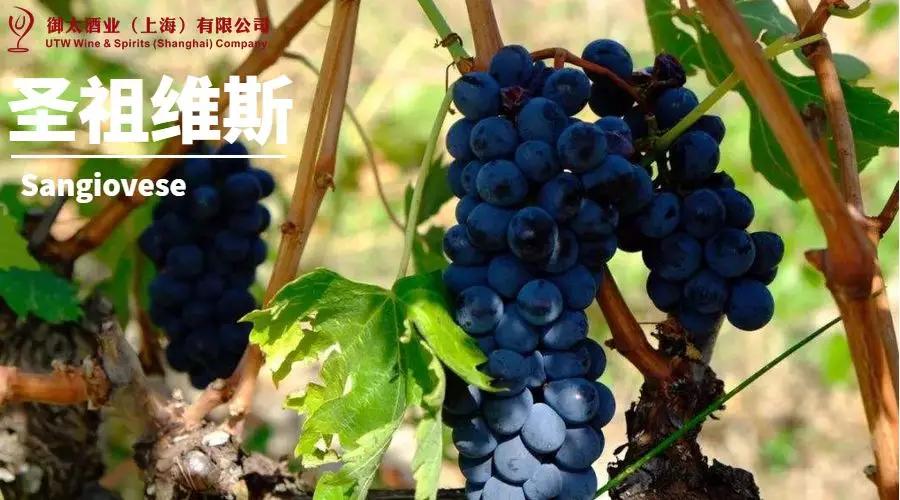 世界葡萄品种最甜十大排名榜,世界十大葡萄酒葡萄品种介绍