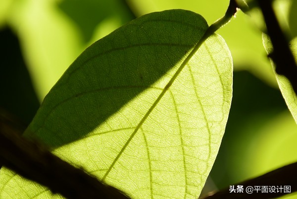 nikond810参数设置,nikond810全自动