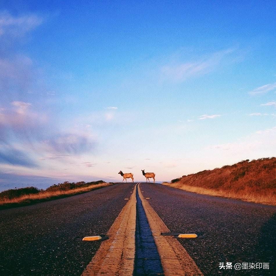 手机摄影拍出大片的感觉的方法,怎样拍出简单又高级的手机摄影