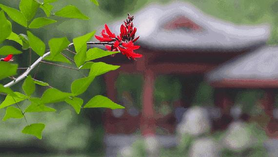 天津哪里房子还有投资价值,天津哪个区域买房潜力最大